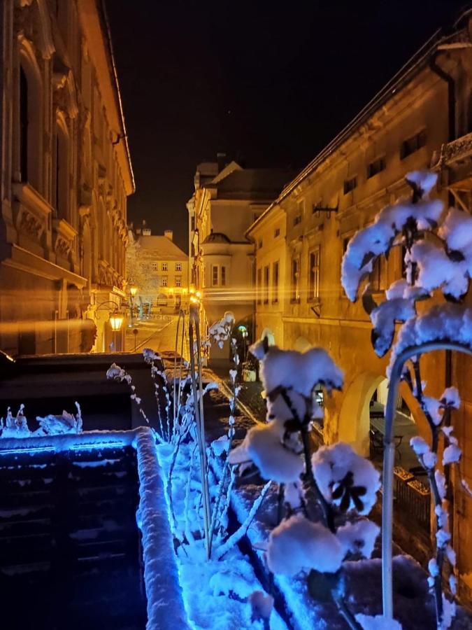 Apartament Podcienie Z Tarasem Bielsko-Biala Old Town Buitenkant foto
